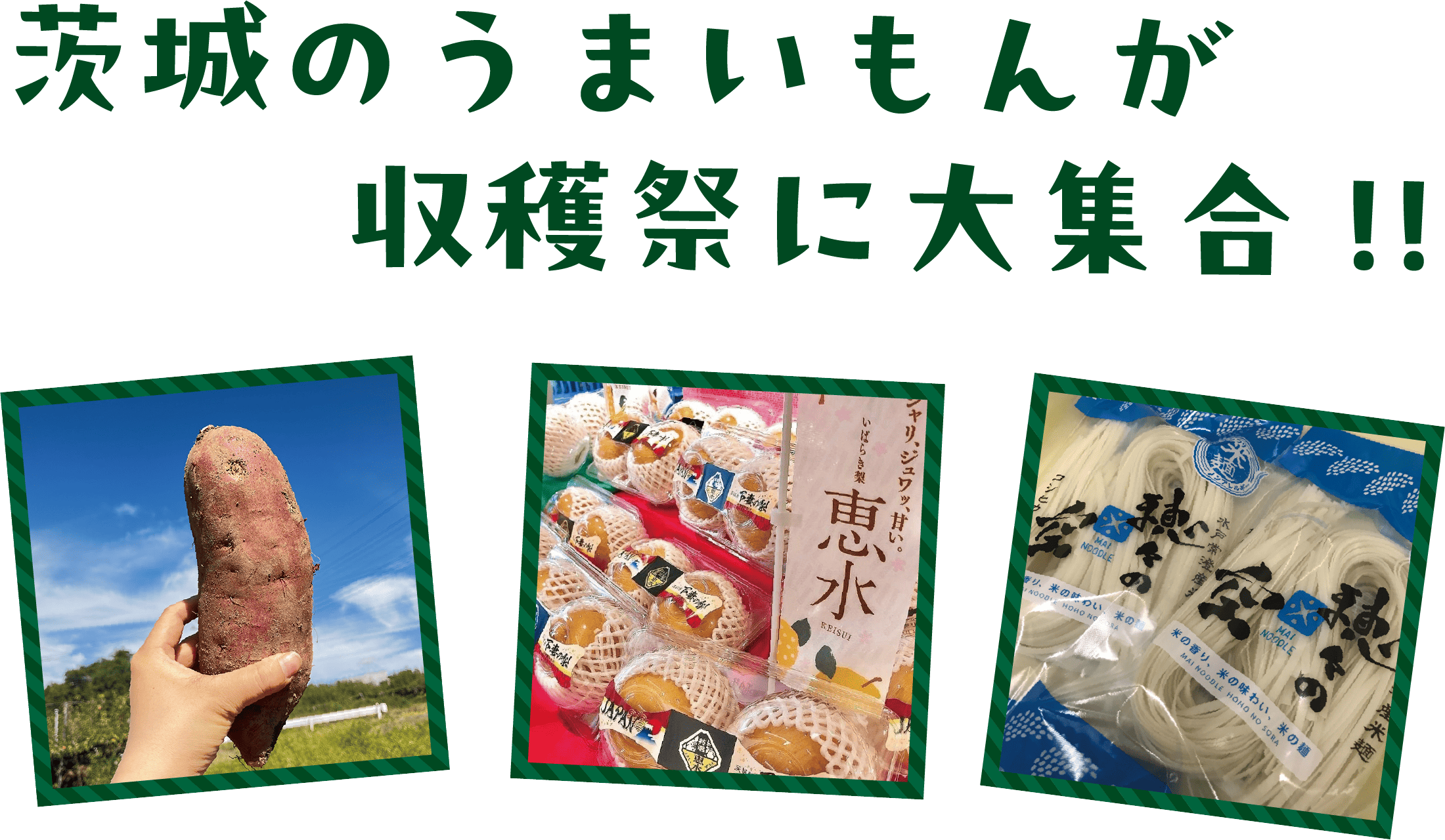 茨城のうまいもんが収穫祭に大集合！！