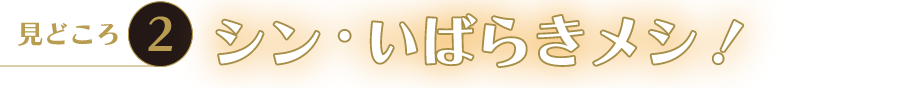 しんいばらぎメシ