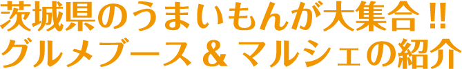 出店者一覧